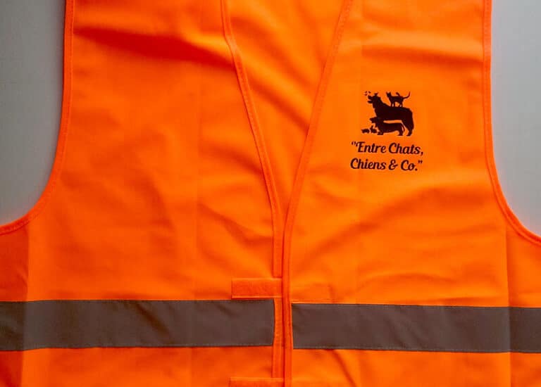 Entre-Chats-Chien-gilet-securite