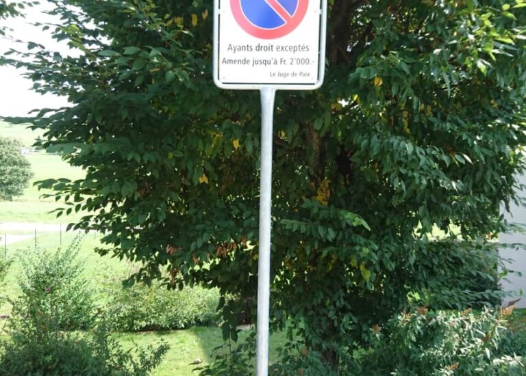 mise-a-ban-romont1